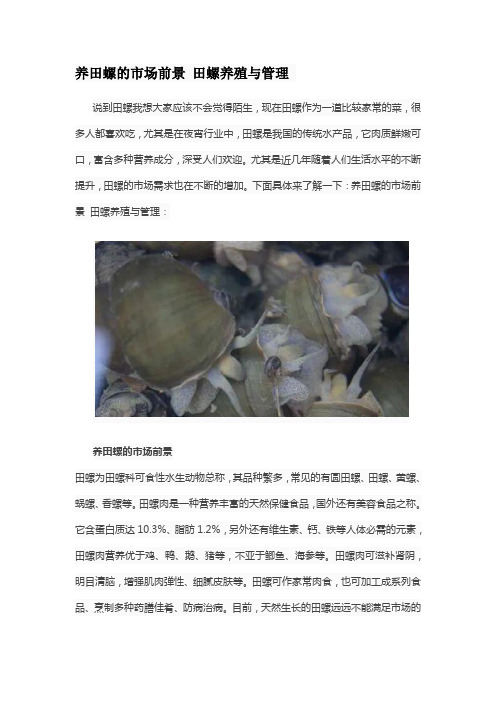 养田螺的市场前景 田螺养殖与管理
