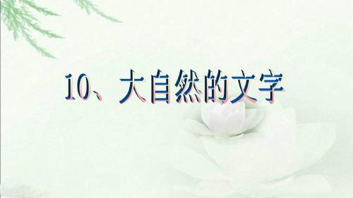 10、大自然的文字第二课时