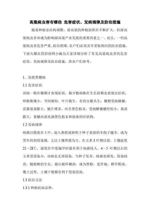 高粱病虫害有哪些 危害症状、发病规律及防治措施