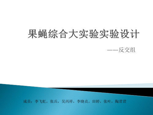 果蝇实验-反交(1)