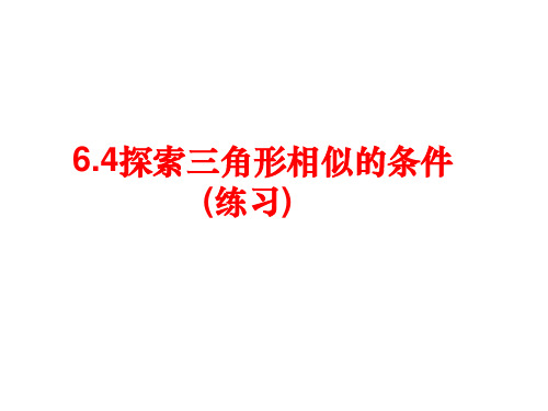 6.4  探索三角形相似的条件(习题课)