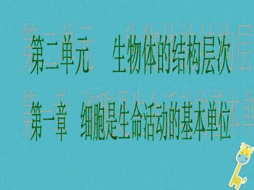 广东省2018年中考生物第二单元生物体的结构层次第一章细胞是生命活动的基本单位课件
