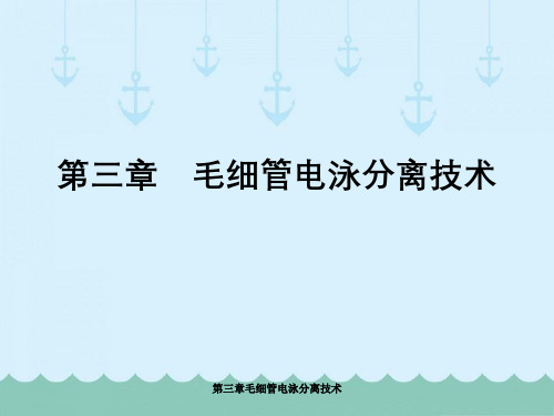 第三章毛细管电泳分离技术