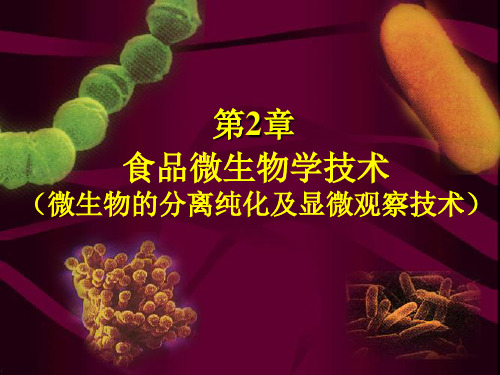 第二章 纯培养和显微技术