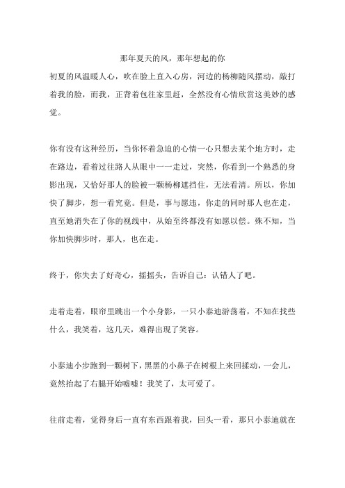 那年夏天的风,那年想起的你