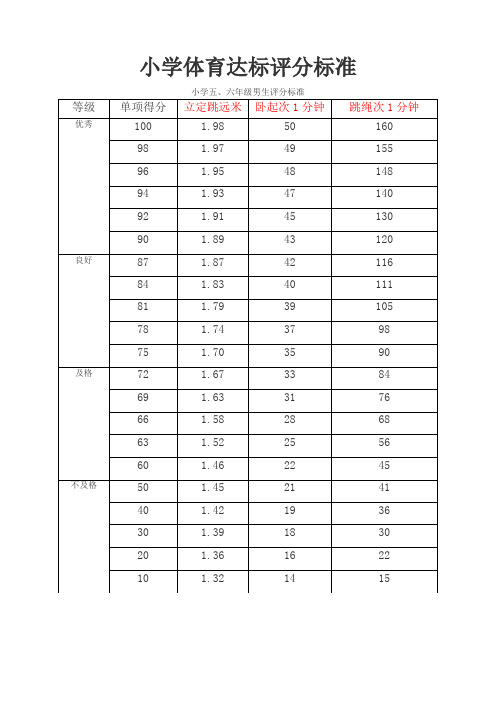 小学体育达标评分标(全面)
