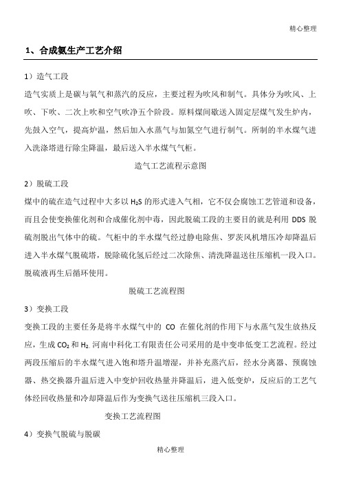合成氨生产工艺介绍