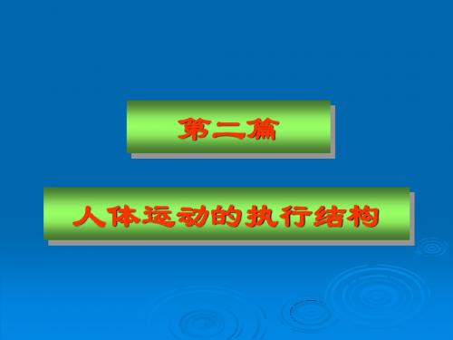 骨的概述