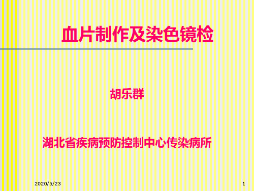 血片制作 PPT课件