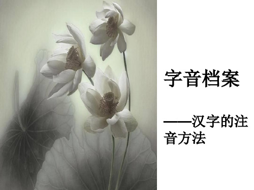 高中语文人教版(选修)：汉字的注音方法