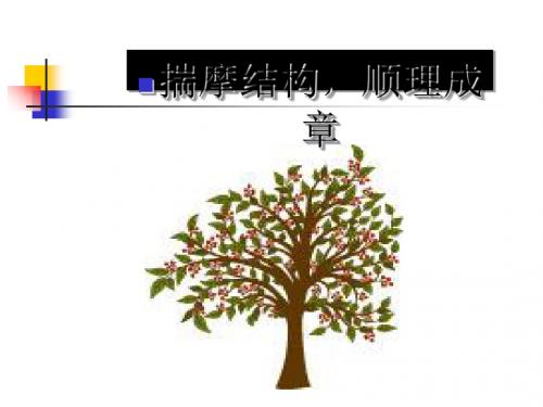 议论文写作指导之揣摩结构,顺理成章ppt