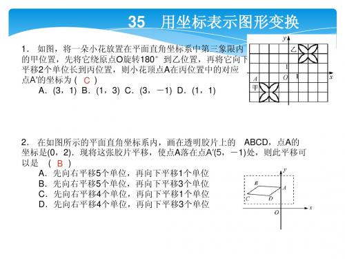 2014年中考点对点训练35用坐标表示图形变换