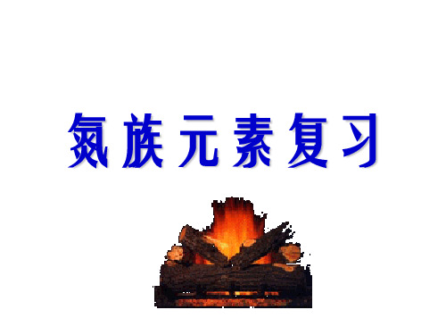 高考复习氮族元素复习