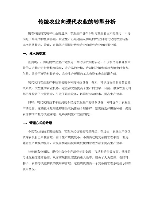 传统农业向现代农业的转型分析