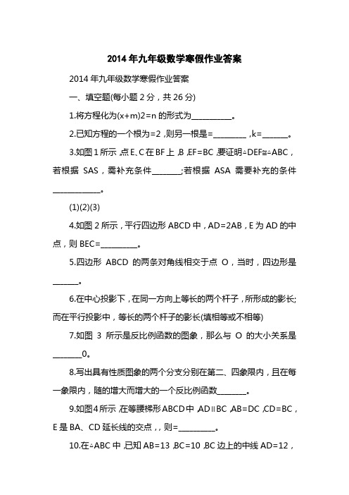 2014九级数学寒假作业答案