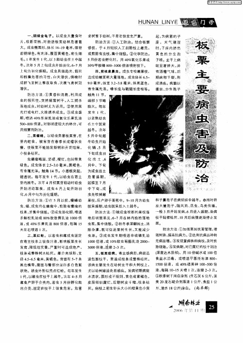 板栗主要病虫害及防治
