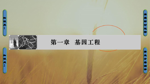 最新-2021学年高中生物选修三课件：第1章 基因工程第1节第1课时 精品