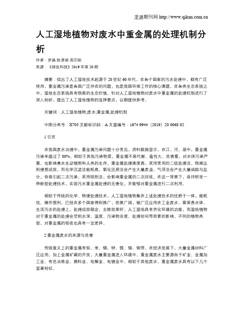 人工湿地植物对废水中重金属的处理机制分析