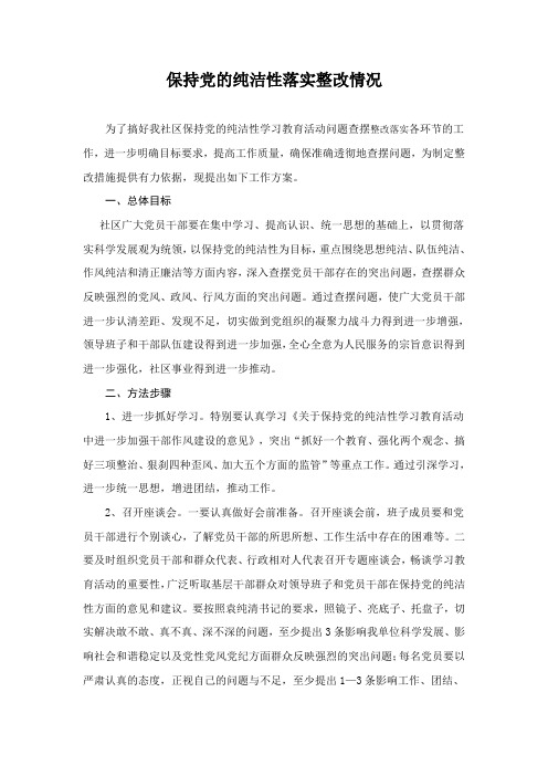 保持党的纯洁性整改方案