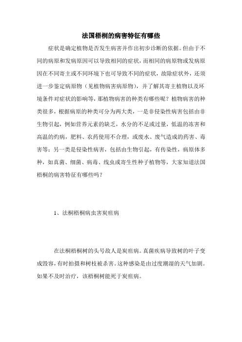 法国梧桐的病害特征有哪些
