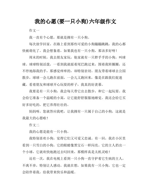 我的心愿(要一只小狗)六年级作文