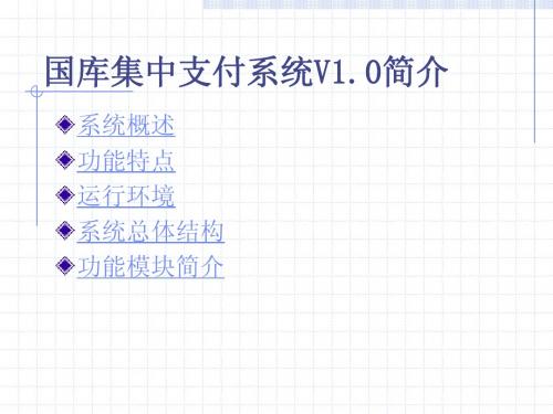 国库集中支付系统V10简介