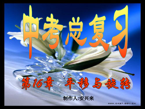 平移与旋转(中考专题复习)