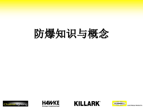 防爆知识与概念