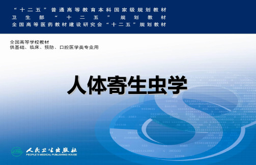 寄生虫——丝虫PPT课件