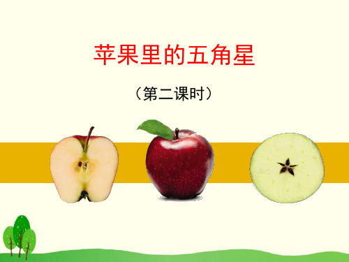 《苹果里的五角星》PPT下载【精选推荐课件】