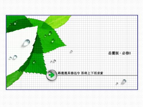 2016-2017学年岳麓版必修一 第24课 两极对峙格局的形成 课件(45张)