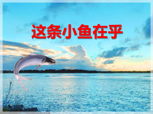 《这条小鱼在乎》冀教版三年级语文上册PPT课件(4篇)