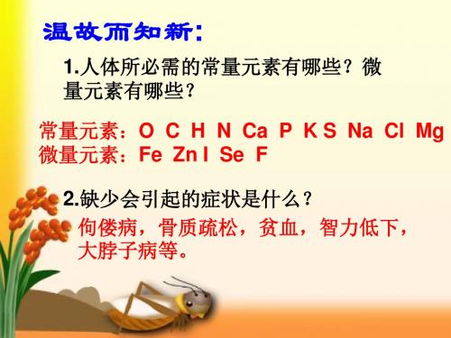 第三节 远离有毒物质(共38张PPT)