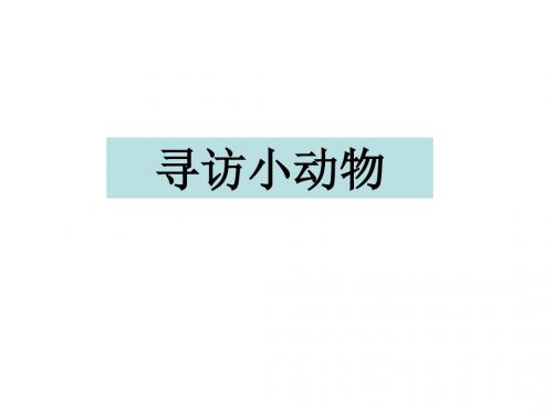 三年级上册科学课件-2.1寻访小动物 教科版(共25张PPT)