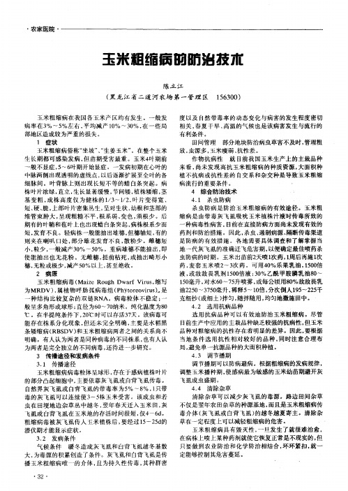 玉米粗缩病的防治技术