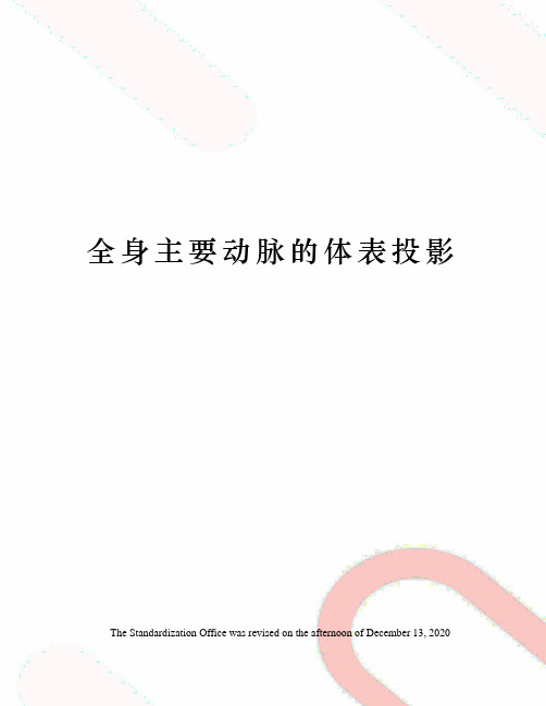 全身主要动脉的体表投影