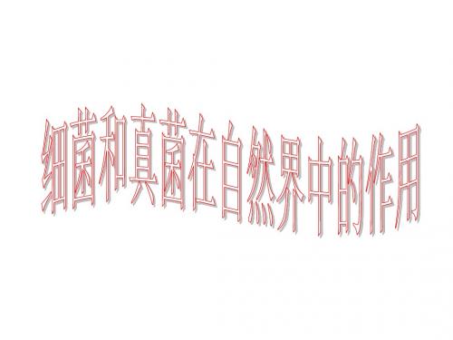 八年级生物细菌和真菌在生物圈中的作用