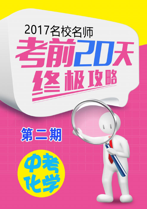 中考化学考前20天终极冲刺攻略(第02期)