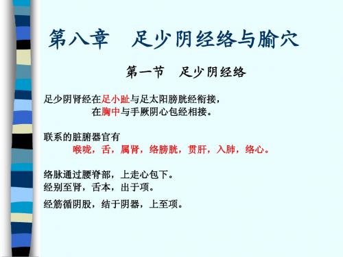 8肾经