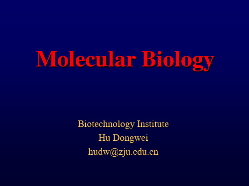 分子生物学-07转座子与DNA重排