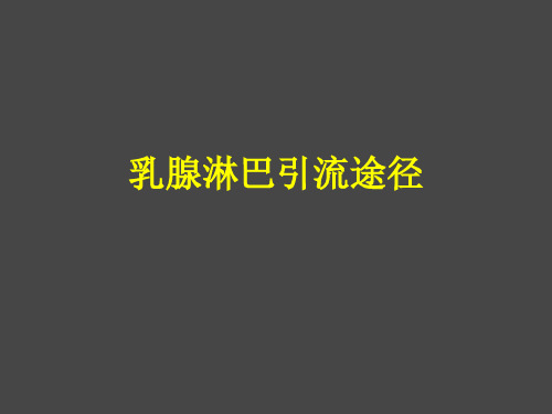 医路向前-乳腺淋巴引流途径