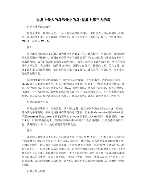 世界上最大的鸟和最小的鸟世界上第三大的鸟