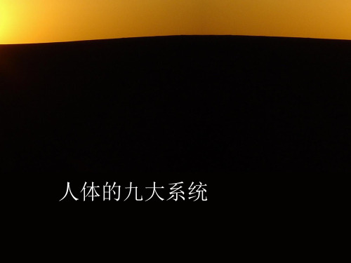 人体的九大系统 ppt课件