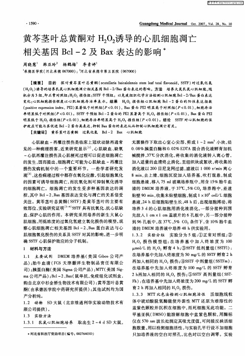 黄芩茎叶总黄酮对H2O2诱导的心肌细胞凋亡相关基因Bcl-2及Bax表达的影响