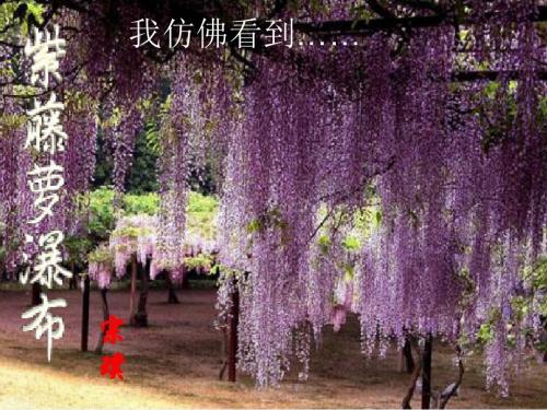 (部编)初中语文人教2011课标版七年级下册紫藤萝瀑布第二课时