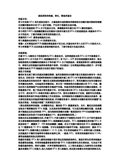 (完整word版)重组质粒实验报告