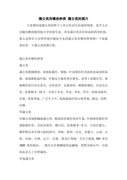 蒲公英有哪些种类 蒲公英的图片.doc