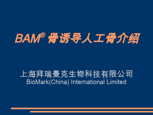 BAM骨诱导人工骨介绍