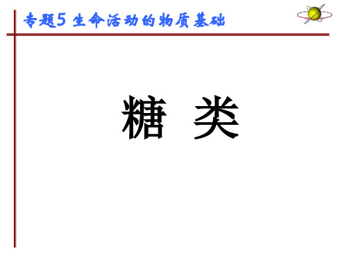 苏教版高中化学选修五 专题5 第一单元 《糖类》课件 (共26张PPT)