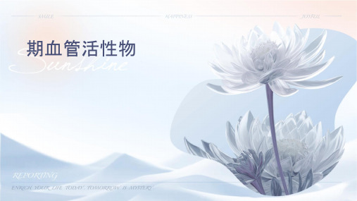 围术期血管活性药物课件